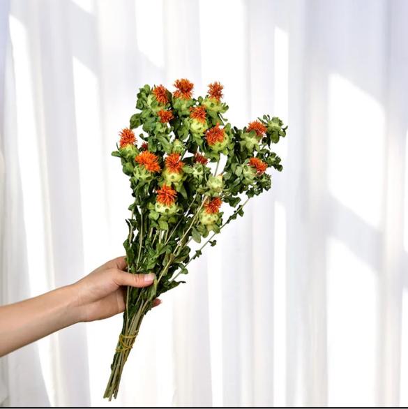 Dried Safflower - Rustic Natural Decor Bunch