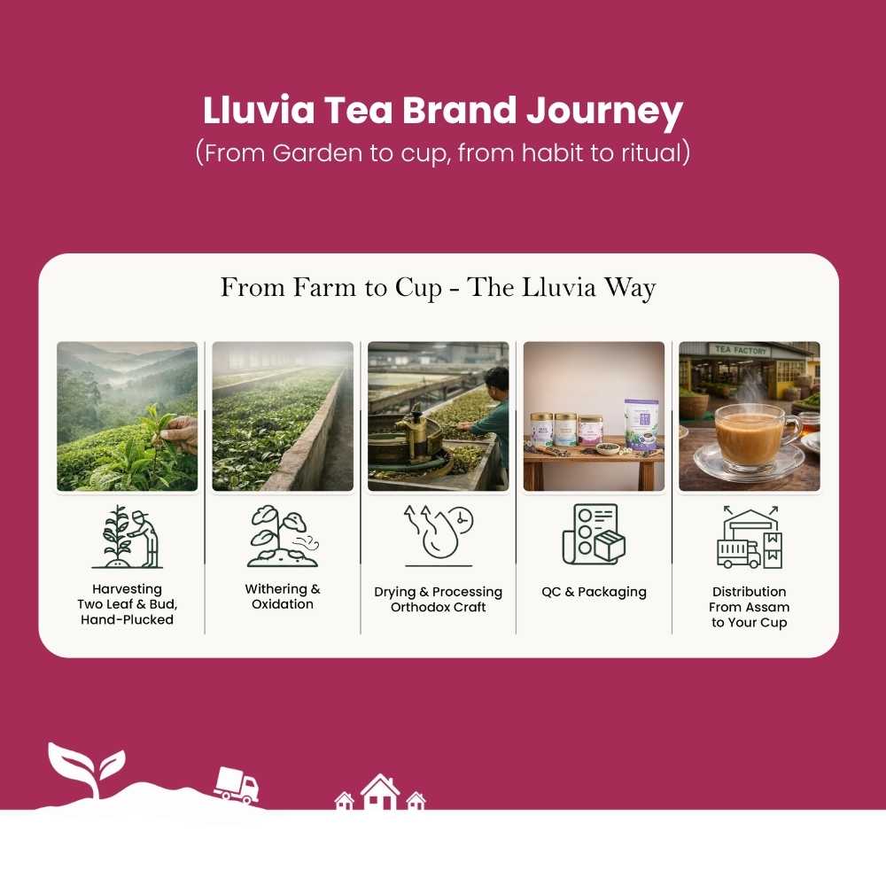 Jasmine Green Tea – Improves Heart Health & Manages Weight – 50g – Tea on Brown Living™. SKU: SRTin50New. Img 7.