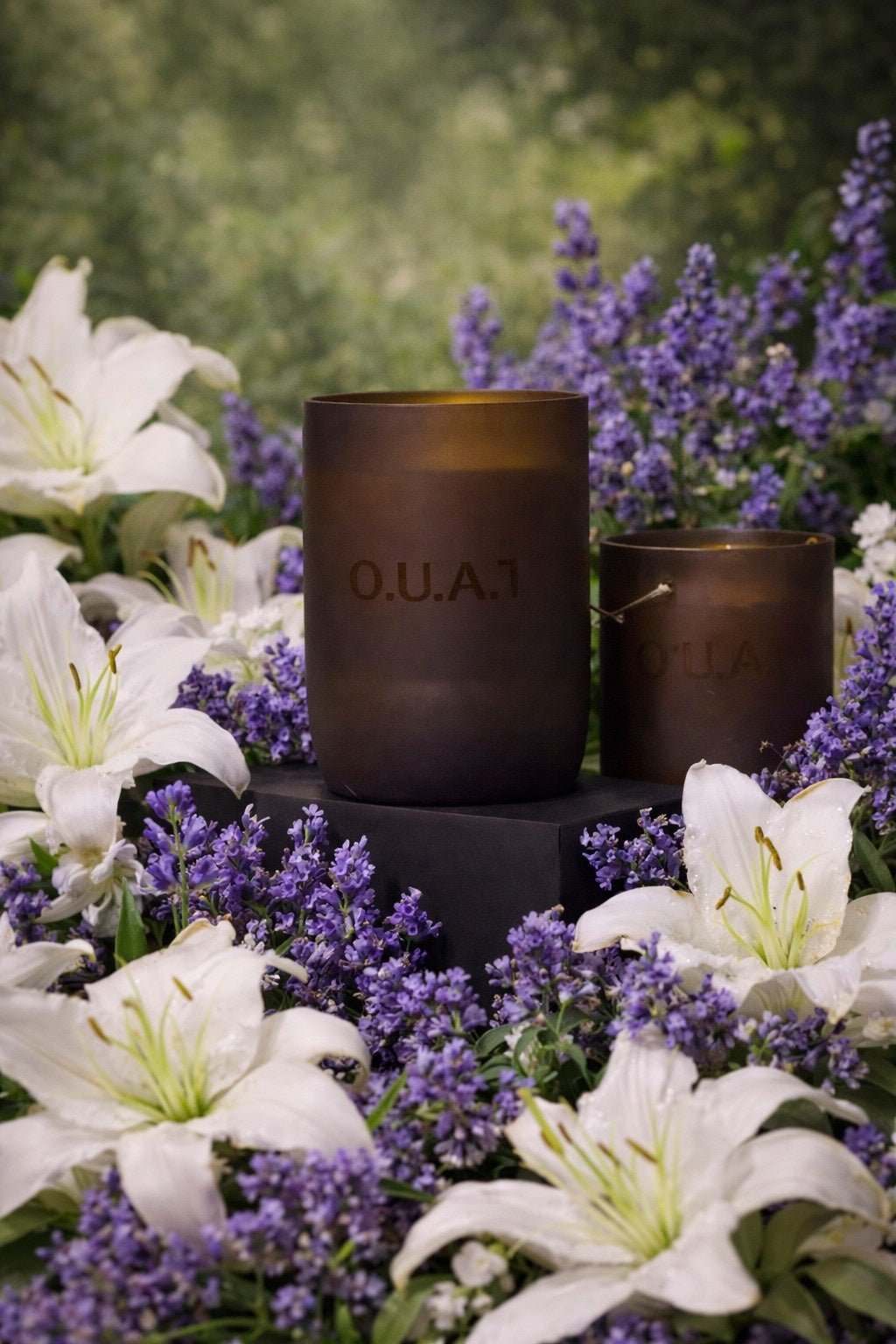 Kashmir Daffodils Handpoured Soy Wax Scented Candle – Candles & Fragrances on Brown Living™. SKU: OKD5. Img 2.