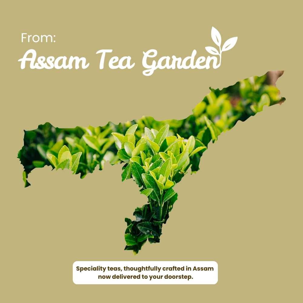 Kashmiri Kahwa – Antioxidant & Immunity Boost – 50g – Tea on Brown Living™. SKU: CTZip50New. Img 8.
