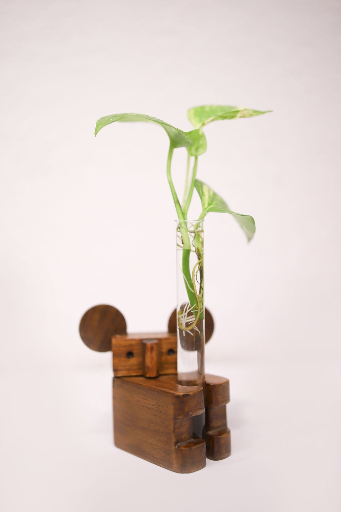 Koala Test Tube Planter | Wooden Desk Plant Holder – Pots & Planters on Brown Living™. SKU: TTPK. Img 3.
