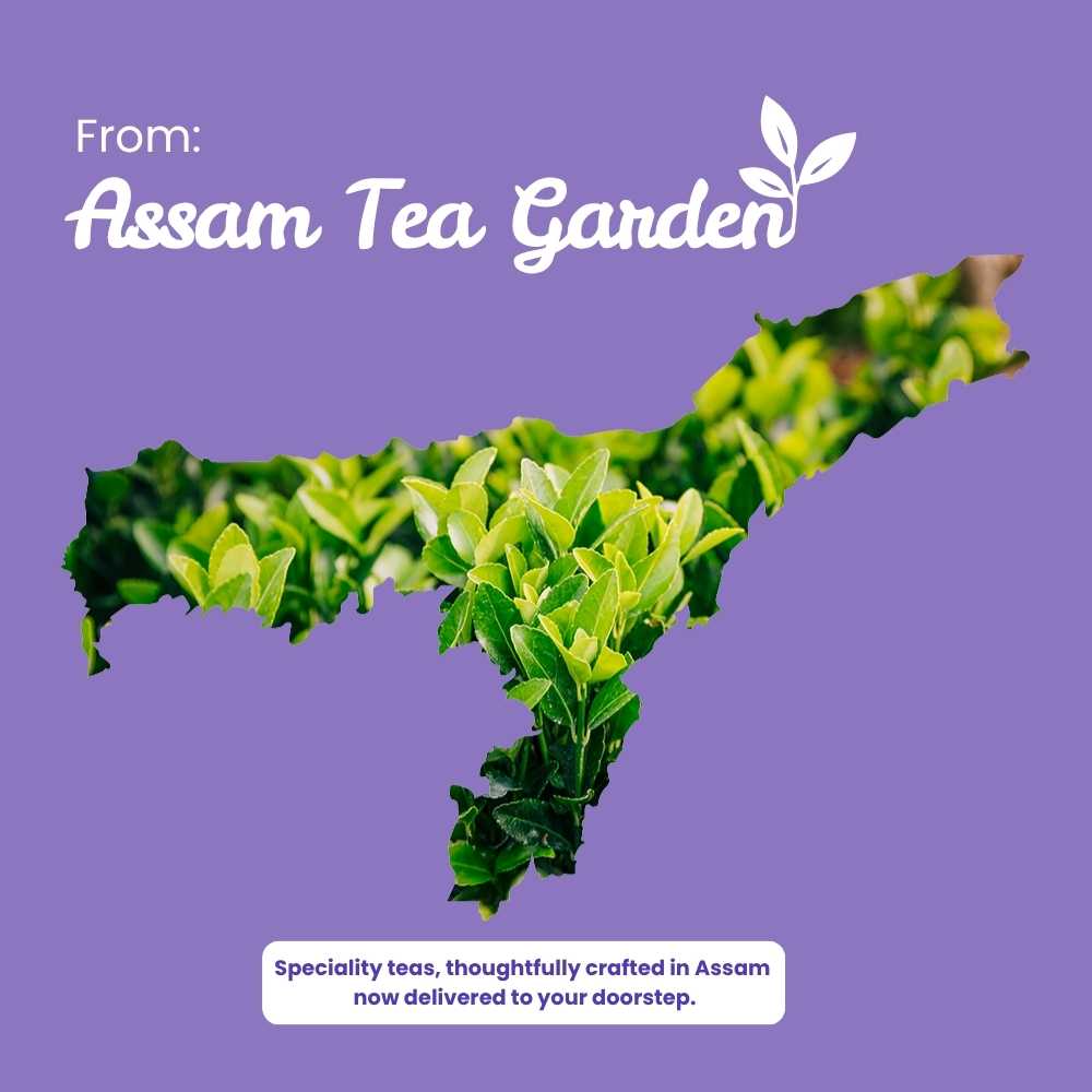 Lavender Dream Green Tea – Relaxation & Stress Relief – 50g – Tea on Brown Living™. SKU: HRTin50New. Img 11.
