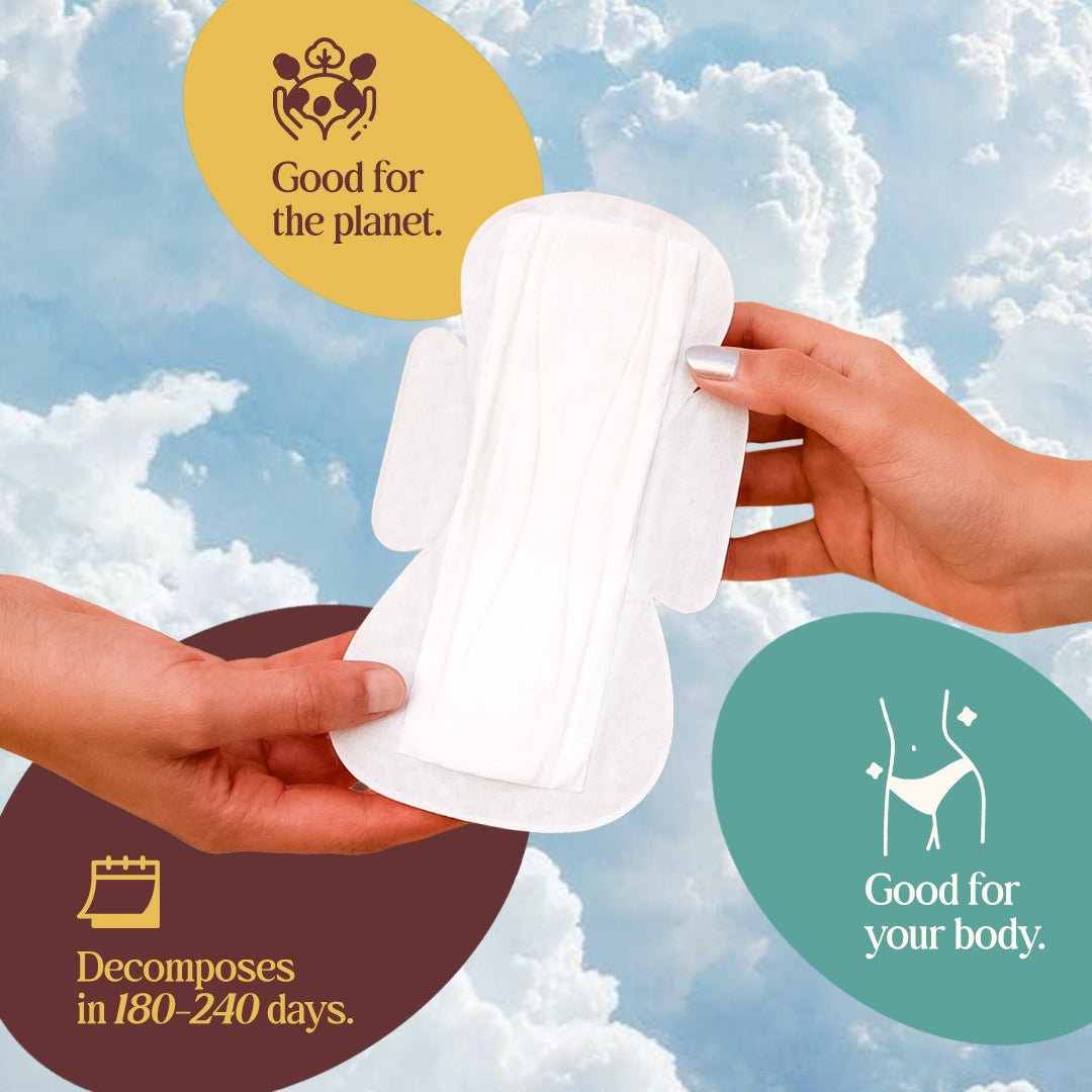 Light Flow Menstrual Pad Pack Of 36 | Soft & Comfortable – Sanitary Pad on Brown Living™. SKU: PPLF36. Img 9.