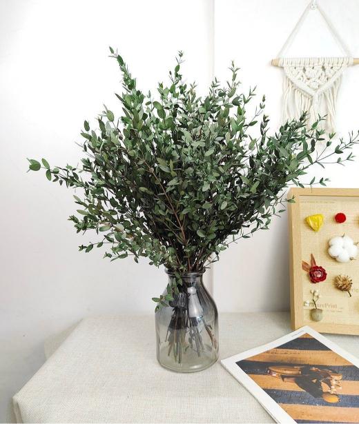 Light Green Eucalyptus - Fresh Look Home Decor – Home Decor on Brown Living™. SKU: DF-276. Img 4.