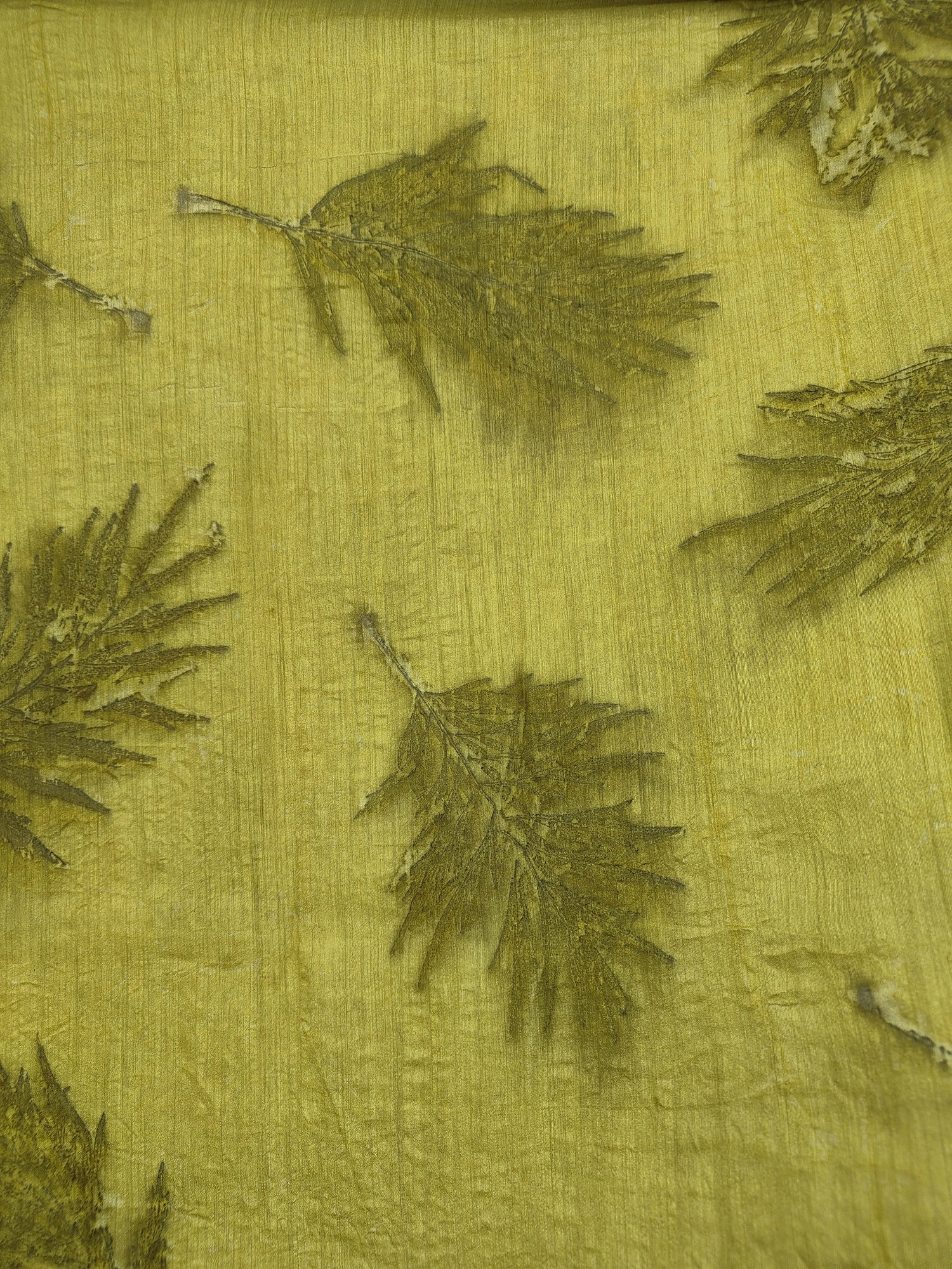 Marigold Ecoprinted Muga Silk Saree Natural Dye – Womens Saree on Brown Living™. SKU: MTS5. Img 6.