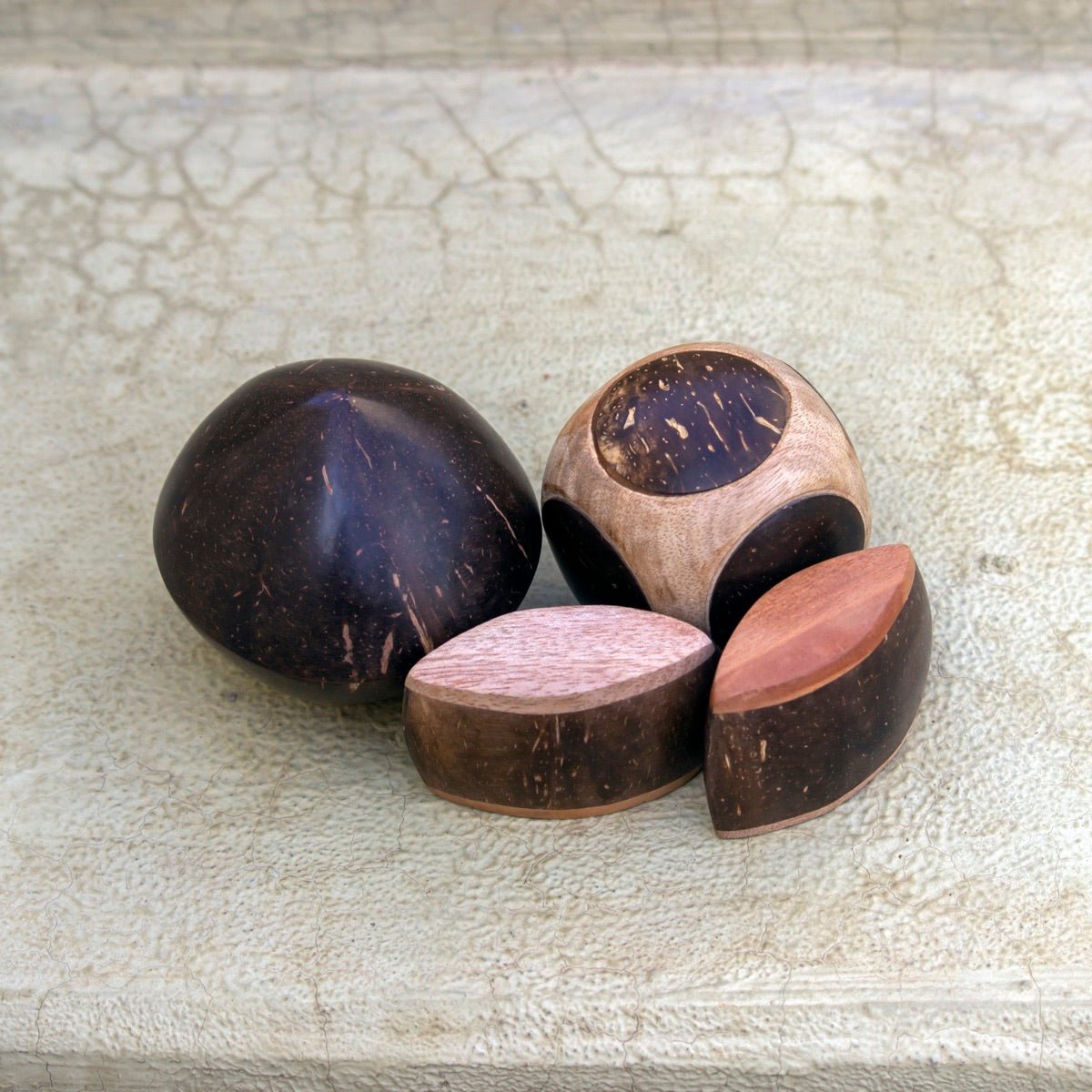 Mini Coconut Shakers Combo of 3 - Round, Square, Eye | Verified Sustainable by Brown Living™