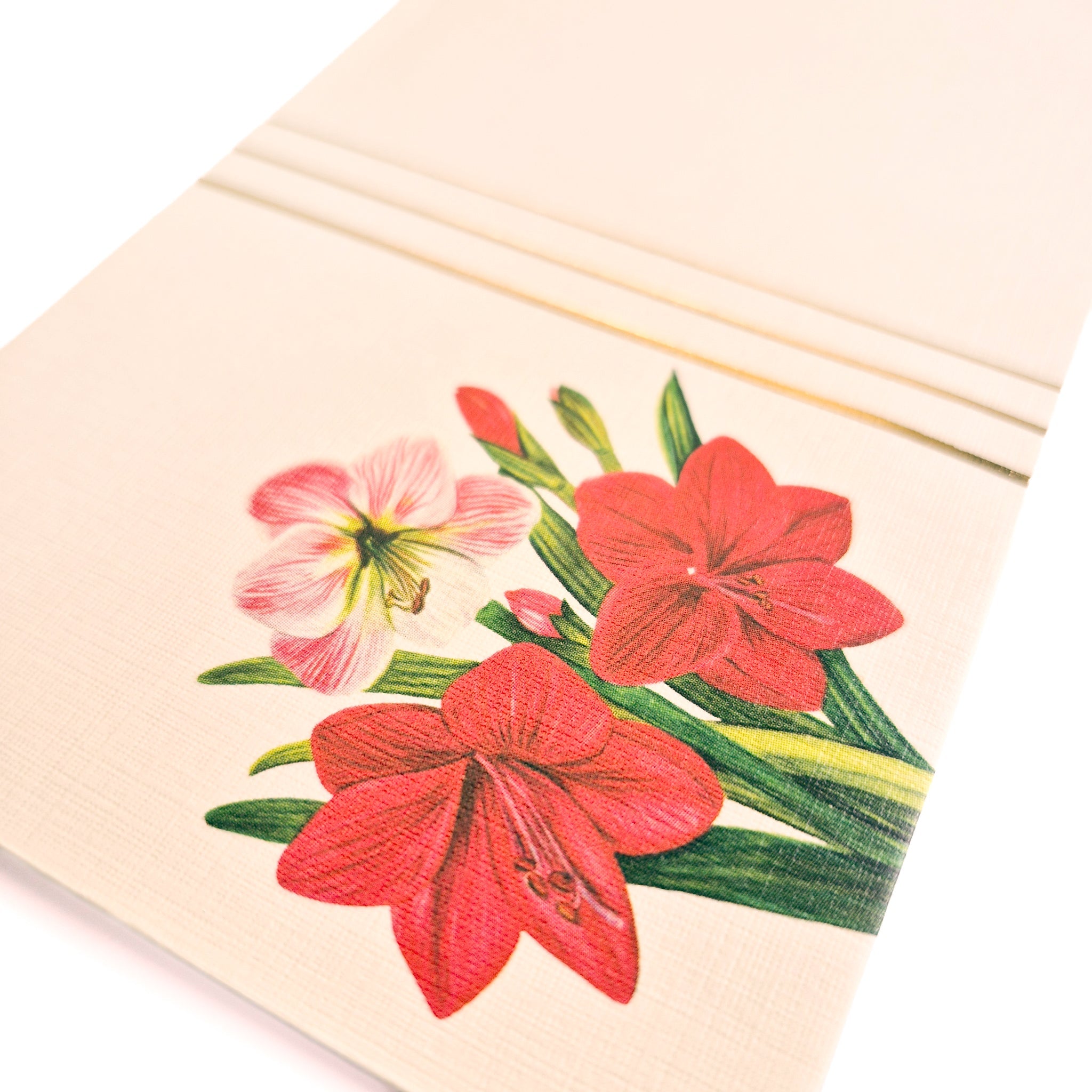 Money Envelopes | Set of 8 | Premium Shagun Envelopes for Gifting – Envelopes on Brown Living™. SKU: CE01. Img 3.