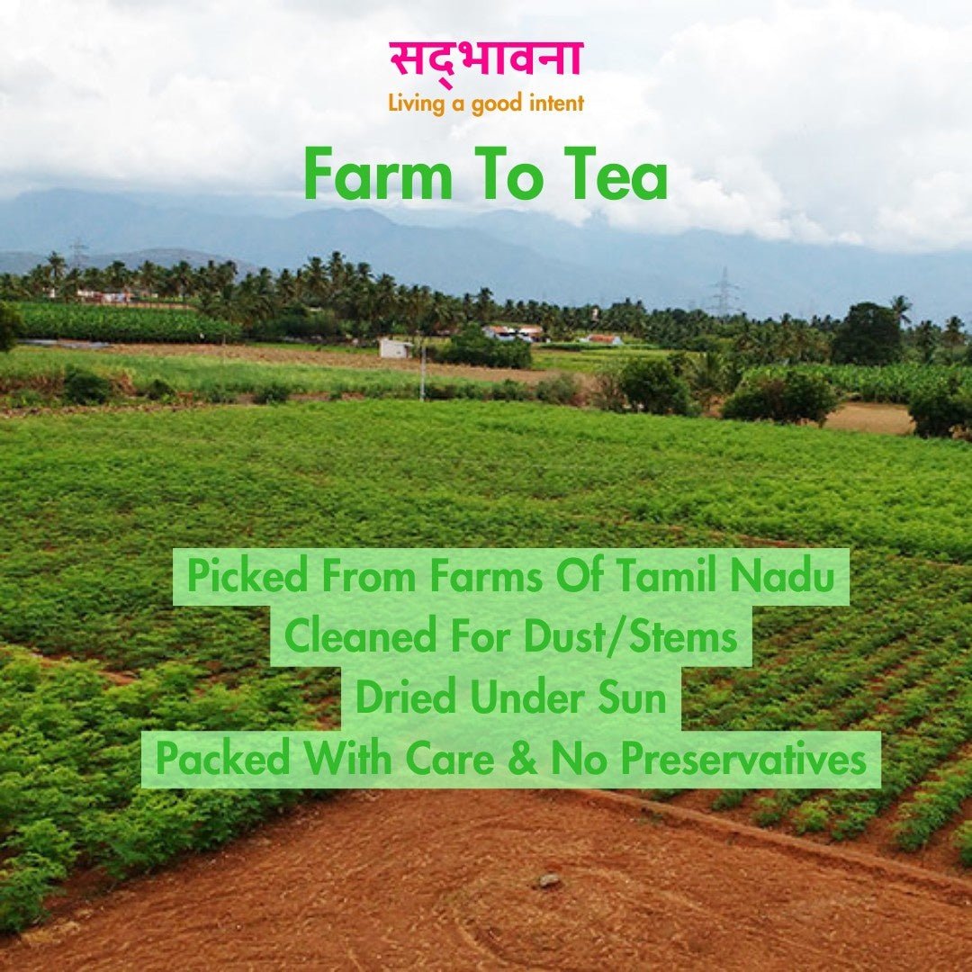 Multipurpose Moringa Tea Leaves (40g) | Pure Dried Moringa – Tea on Brown Living™. SKU: moringa1. Img 4.