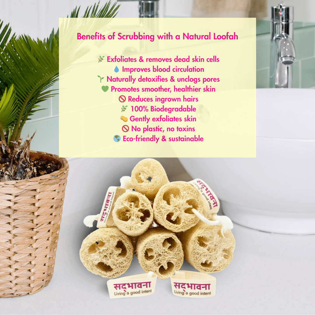 Natural Loofah Sponge | Organic Bath Scrubber | Pack of 3 – Bath Accessories on Brown Living™. SKU: B0F6KW6391. Img 3.