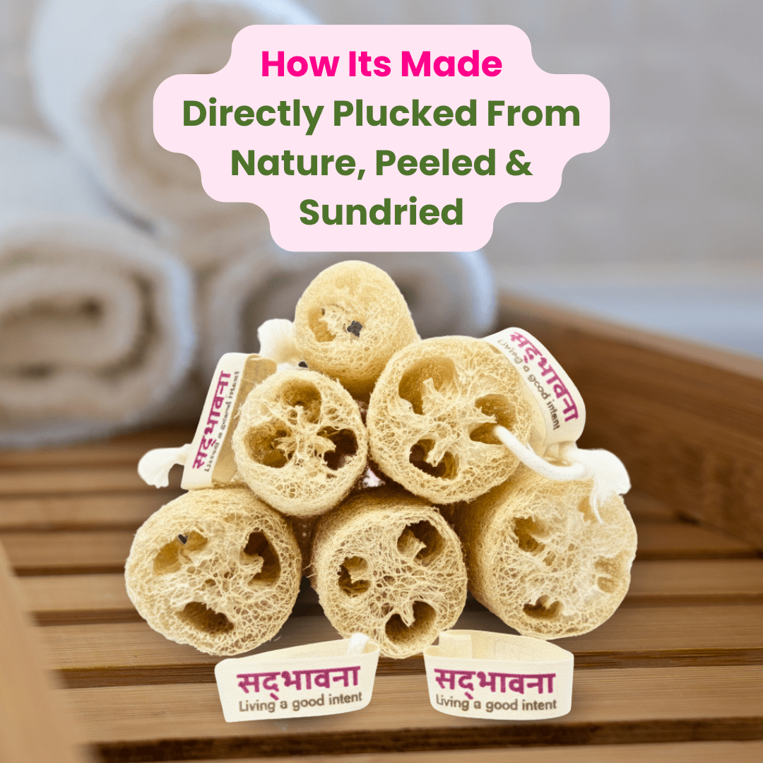 Natural Loofah Sponge | Organic Bath Scrubber | Pack of 6 – Bath Accessories on Brown Living™. SKU: B0F6L8572R. Img 4.