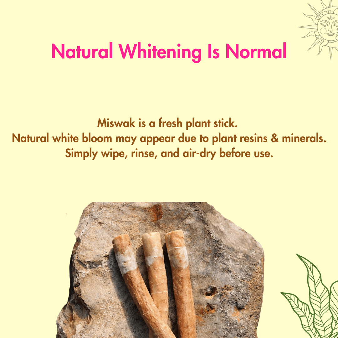 Natural Miswak Stick | Organic Datun | Pack of 10 – Oral Care on Brown Living™. SKU: B0FZC3Y95M. Img 7.