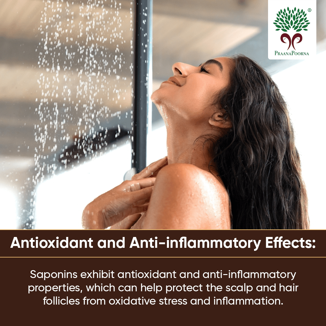 Natural Shampoo 350ml – Hair Shampoo on Brown Living™. SKU: 133-08236-praanapoorna-SKUA11. Img 9.