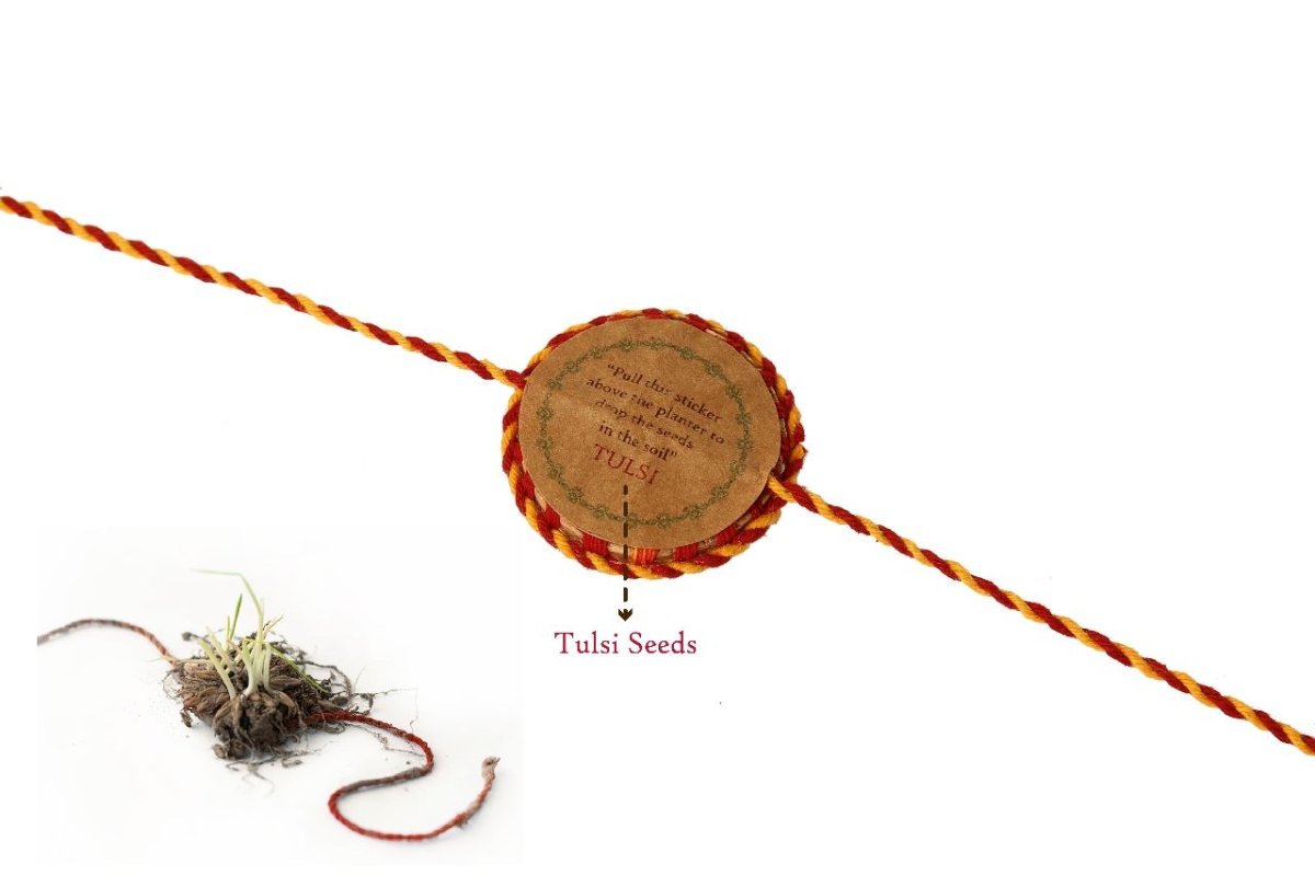 Nazarbattu Handmade Plantable Eco - friendly Rakhi Lumba Set with Roli - Chawal – Rakhi by Scrapshala available on Brown Living™. . SKU: SSR011. Img 5.