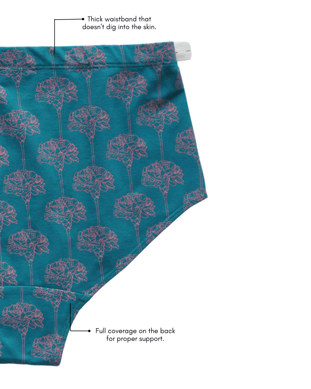 Organic Cotton Maternity Brief | Women’s Comfortable Innerwear – Womens Maternity Wear on Brown Living™. SKU: 005BATEALAOP-S. Img 4.