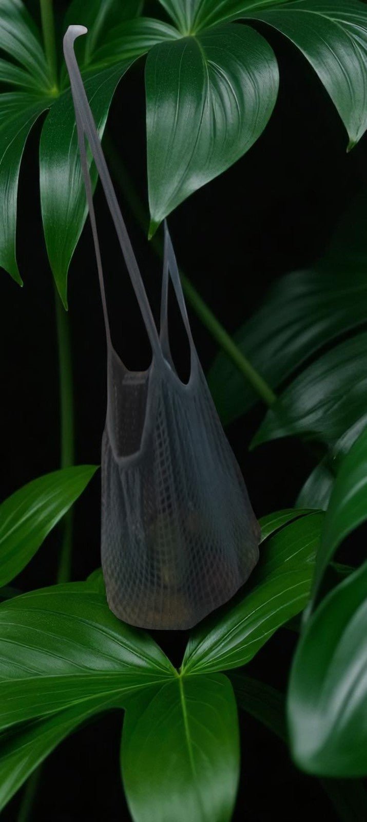 Organic Cotton Mesh Shopping Bags – Funky Colors (Pack of 2) – Fridge Vegetable Bags on Brown Living™. SKU: OEP912K. Img 11.