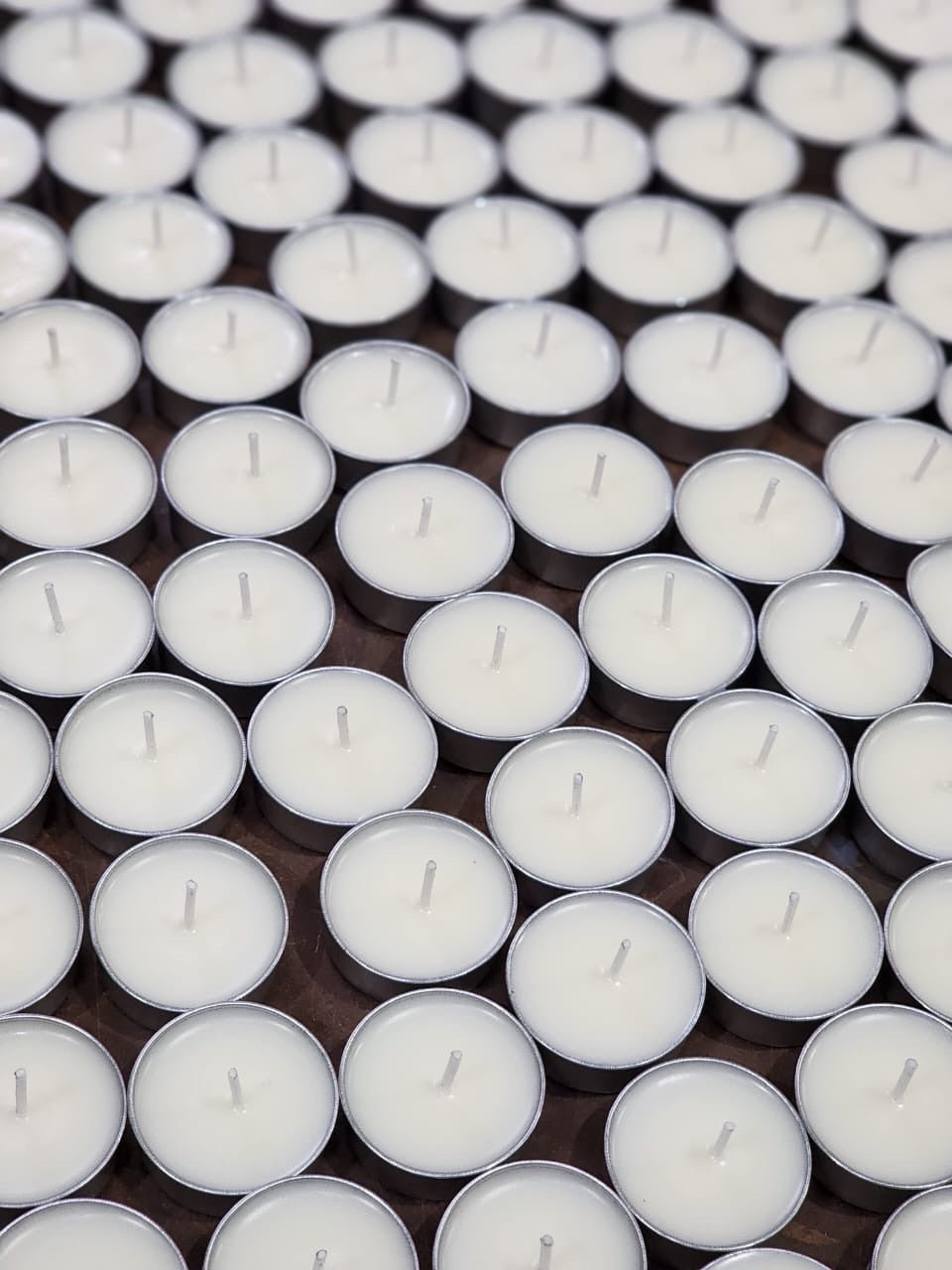 Organic Soy Wax T Lites - Set of 50 | Verified Sustainable by Brown Living™