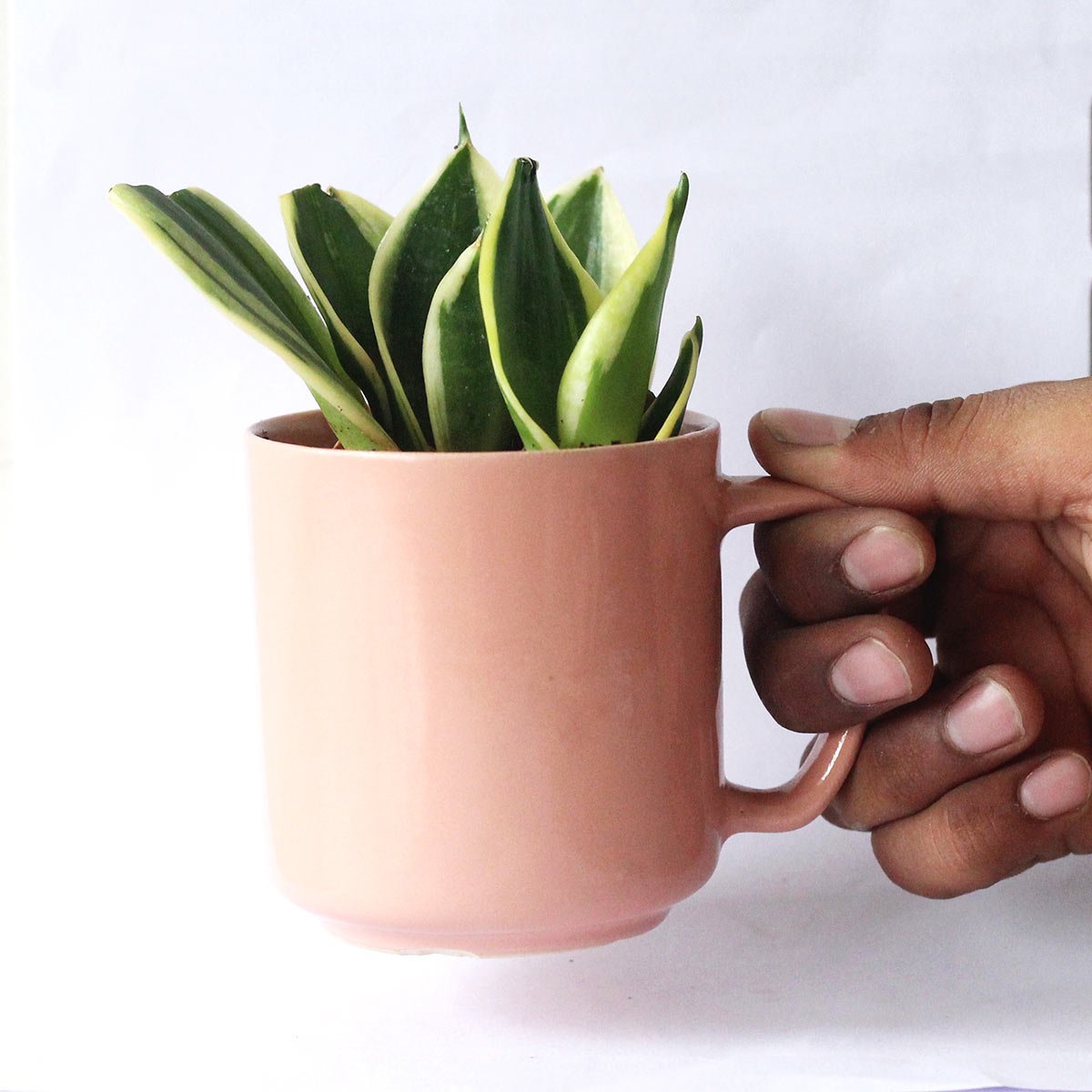 PadmaRecycled Ceramic Desk Planter with holder – Pots & Planters on Brown Living™. SKU: ET - CT - DP - PD. Img 1.