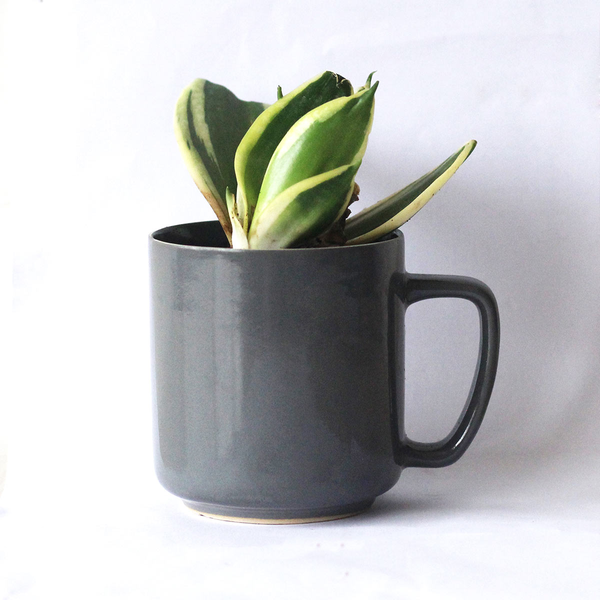 Pashan Recycled Ceramic Desk Planter with holder – Cups & Saucers on Brown Living™. SKU: ET - CT - DP - PS. Img 2.