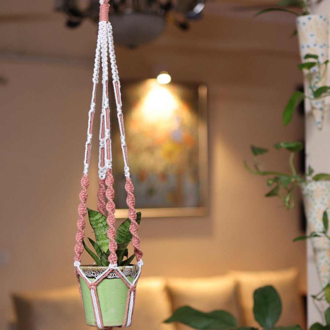Peach Web Macrame Plant Holder – Pots & Planters on Brown Living™. SKU: SAR128. Img 1.