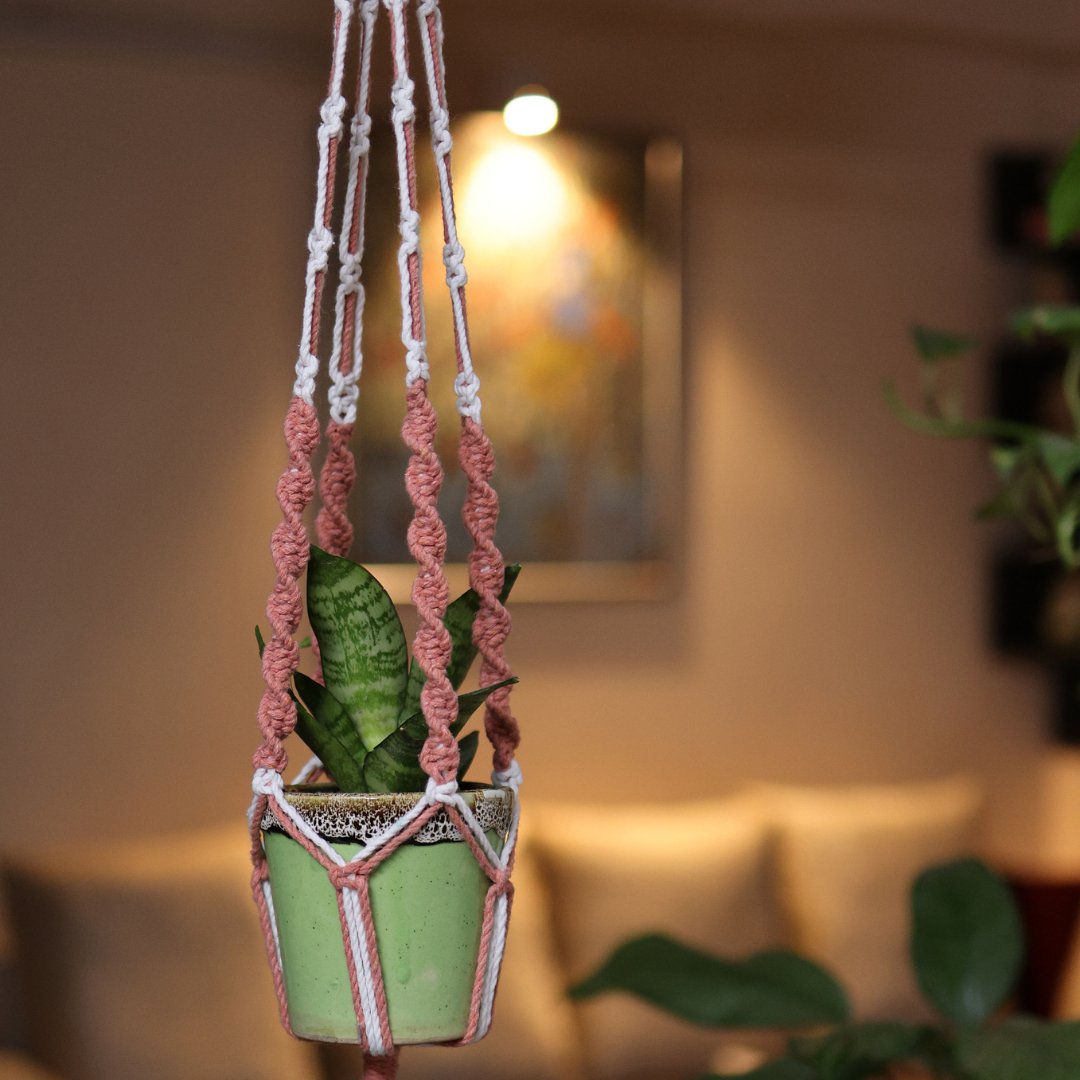 Peach Web Macrame Plant Holder – Pots & Planters on Brown Living™. SKU: SAR128. Img 2.