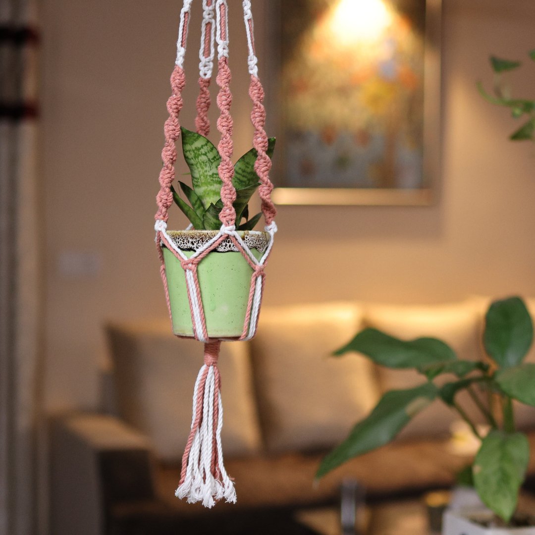 Peach Web Macrame Plant Holder – Pots & Planters on Brown Living™. SKU: SAR128. Img 3.