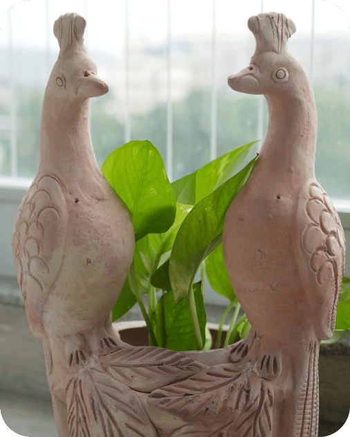 Peacock Earthen Planter – Pots & Planters by Swadeh available on Brown Living™. . SKU: A0_plt_0055n. Img 4.
