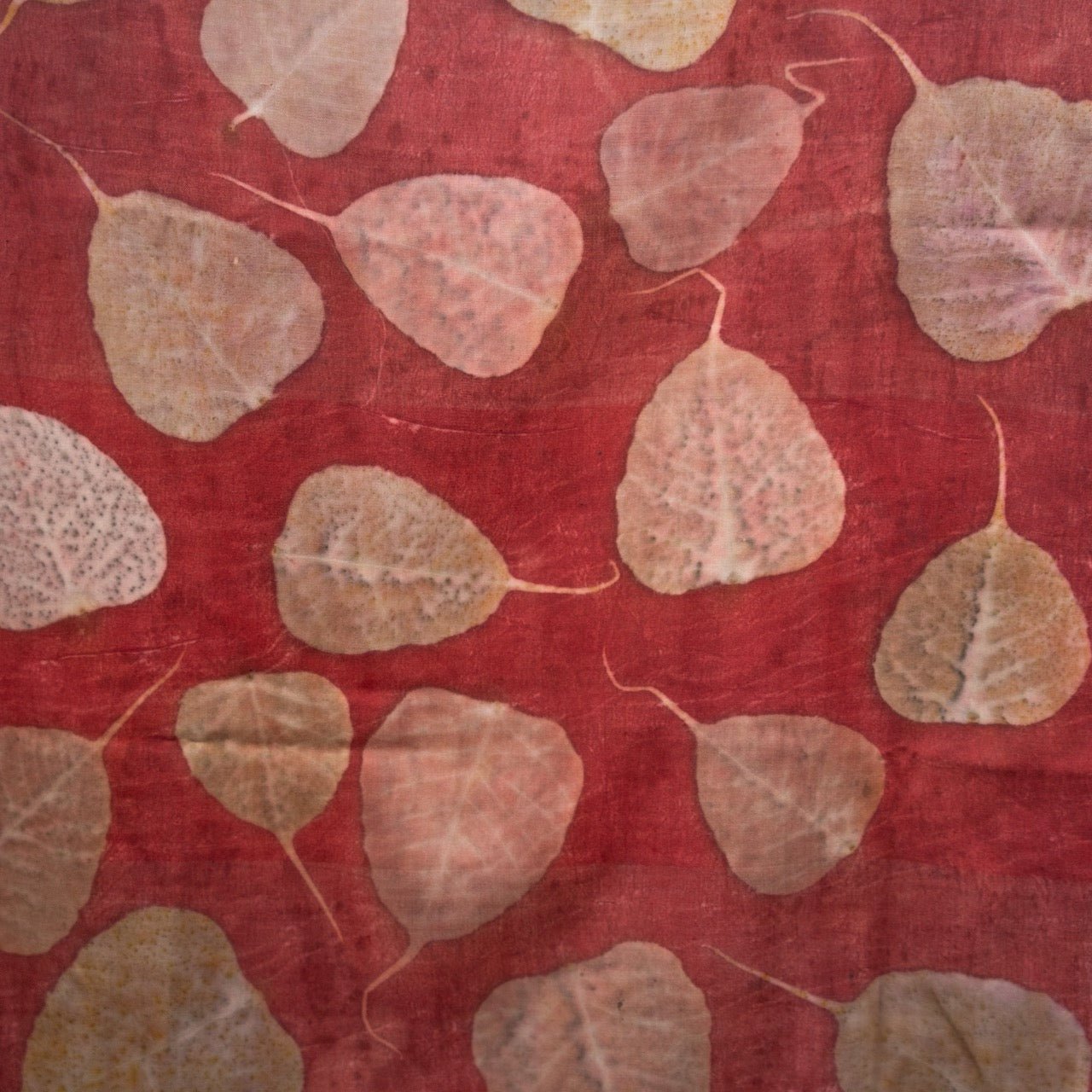 Peepal Eri Silk Scarf – Handcrafted Natural Silk Stole – Womens Scarf on Brown Living™. SKU: scarfpeepaleri. Img 3.