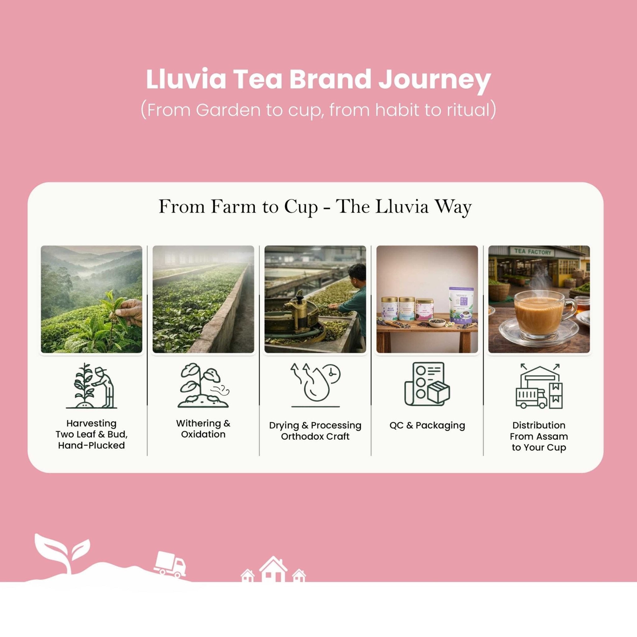 Period Perfect Tea – Menstrual Comfort & Hormonal Balance – 50g – Tea on Brown Living™. SKU: JTTin50New. Img 8.