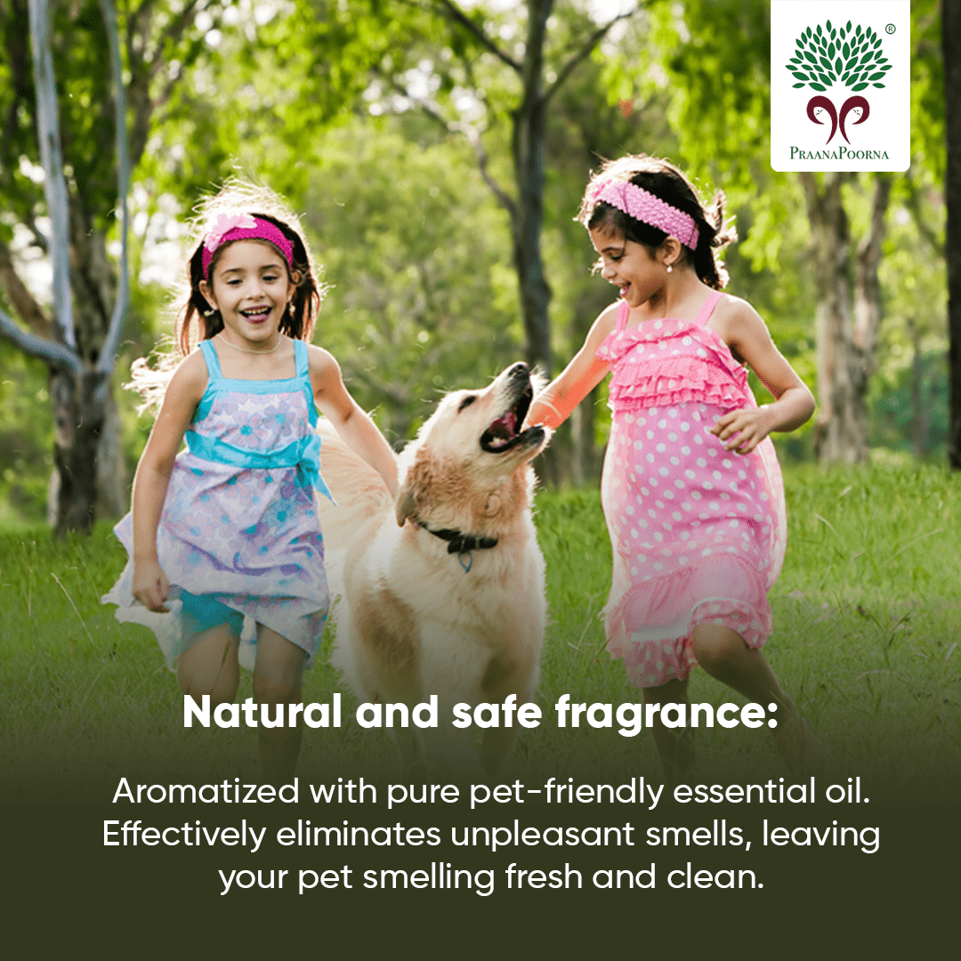 Pet care hamper| Chemical Free Essentials – Pet Grooming Supplies on Brown Living™. SKU: SKU_K01. Img 18.