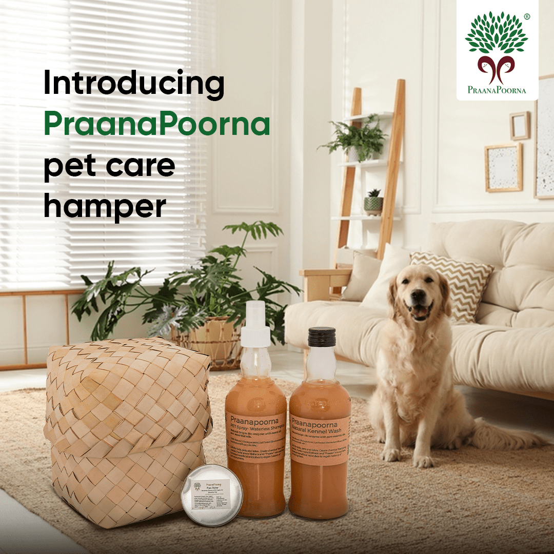 Pet care hamper| Chemical Free Essentials – Pet Grooming Supplies on Brown Living™. SKU: SKU_K01. Img 3.