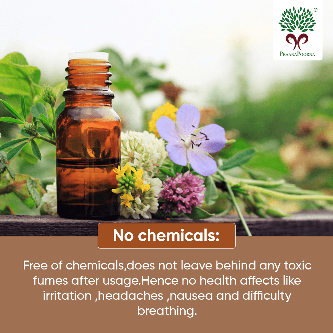 Plant based Pest Control Kit – Cleaning Products on Brown Living™. SKU: SKU_K06. Img 6.