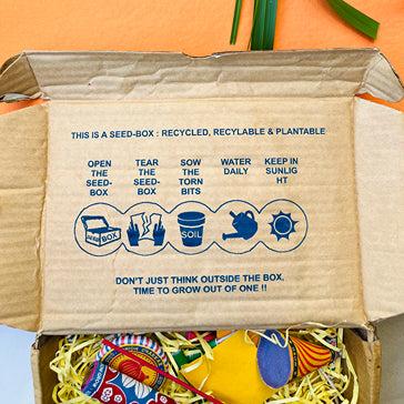 Plantable Crackers | Seed Crackers | Beej Patakha | Set of 6 | Verified Sustainable by Brown Living™