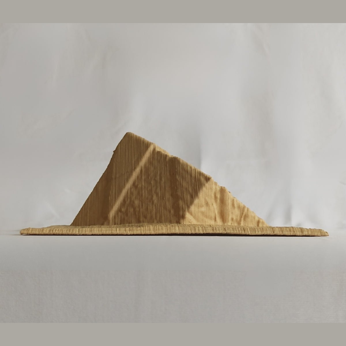 Platonic Deplane Plant - Based Light Wood Wall Decor – Home Decor on Brown Living™. SKU: PLDEEDPLLWA083. Img 2.