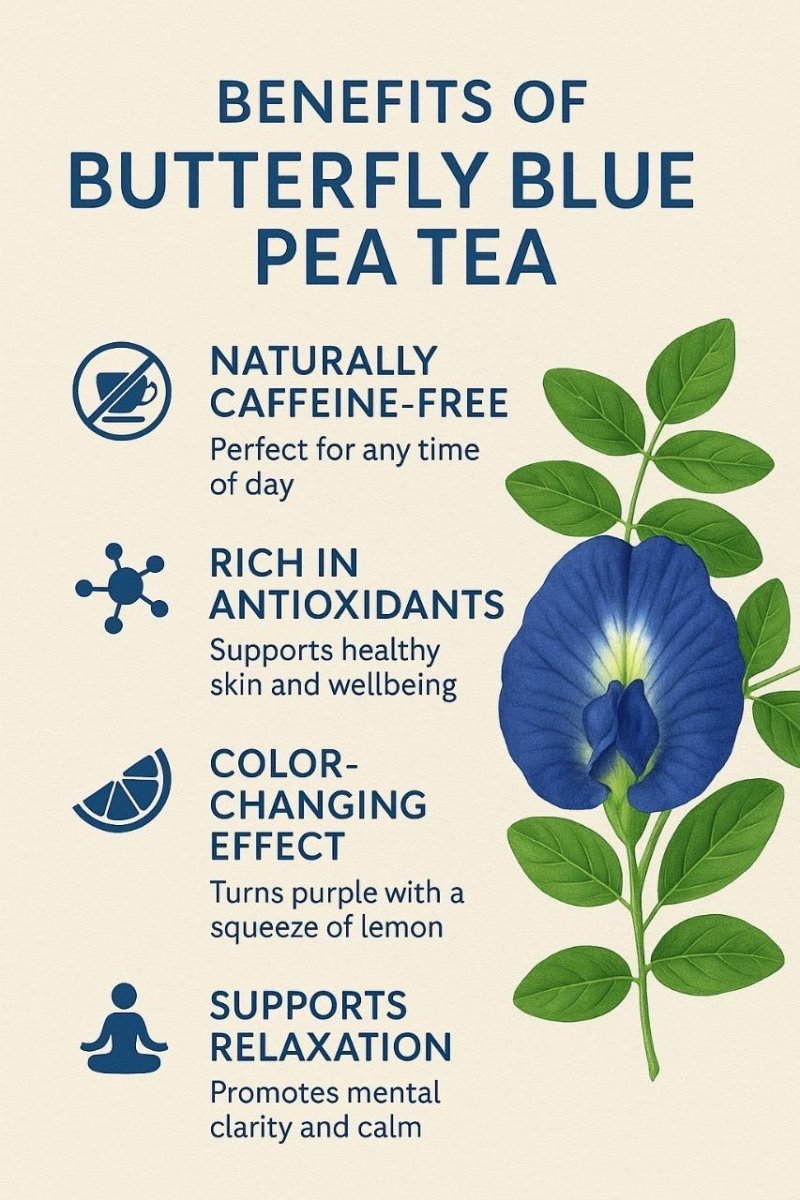 Premium Blue Butterfly Pea Flower Tea – Tea by JUNGLE STING available on Brown Living™. . SKU: JSBLUEPEA. Img 5.