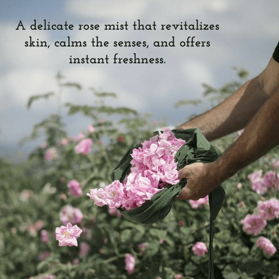 Pure Rose Water Mist | Natural Hydrating & Refreshing Facial Toner – Face Cleanser on Brown Living™. SKU: FFRWCW100L. Img 2.