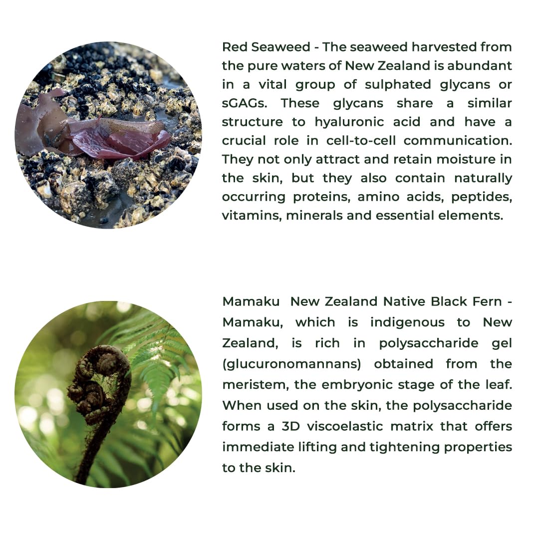 Red Seaweed + Mamaku Hydration Cream | Natural Face Cream for Glowing – Face Cream on Brown Living™. SKU: FMCMA040. Img 5.