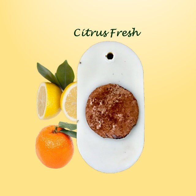 Reusable Wardrobe Freshener Pack of 1 Wax Tablet (White) – Candles & Fragrances on Brown Living™. SKU: RCFWXWTCTF1. Img 7.