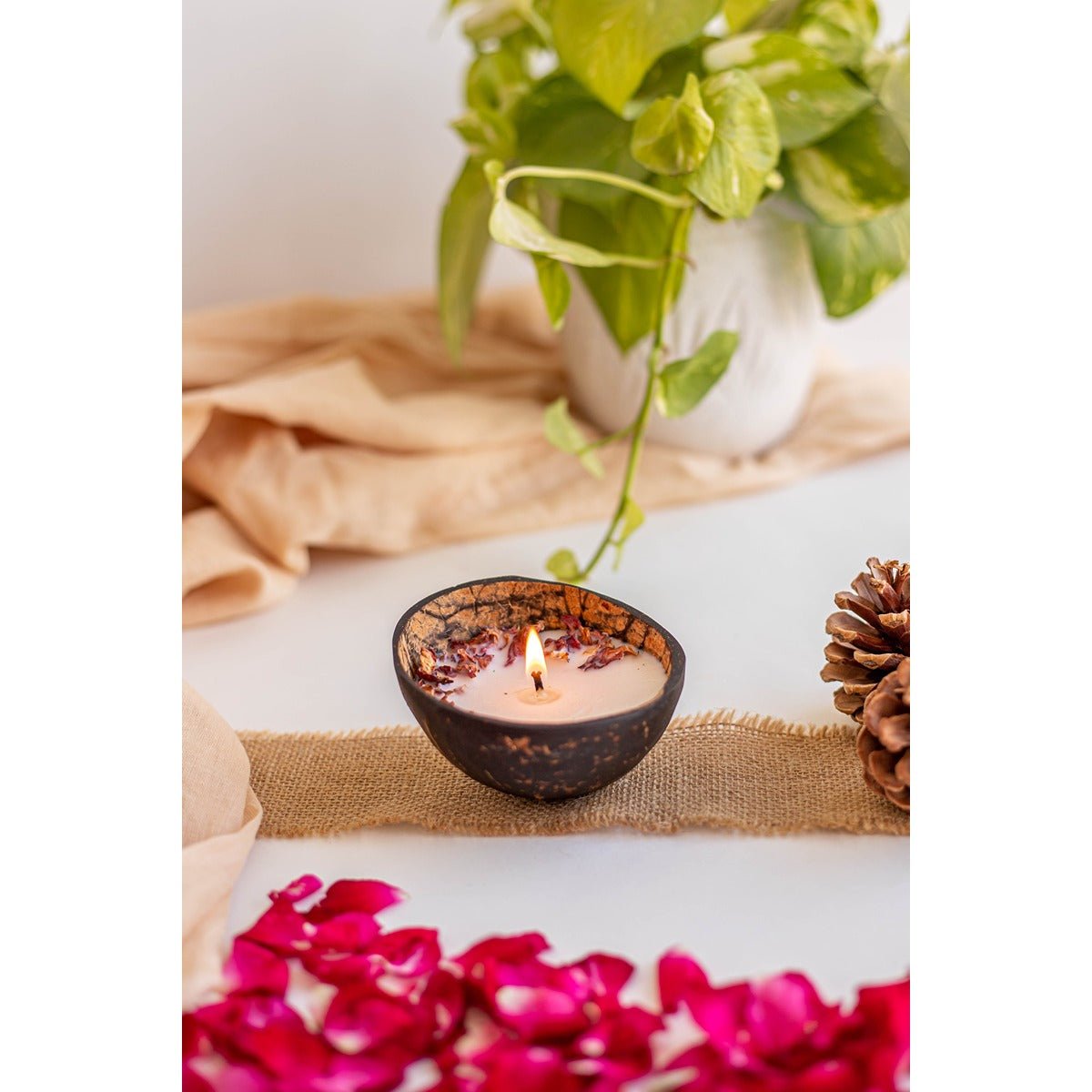 Rosewood Coconut Glow Aroma Candle | Scented Home Fragrance – Candles & Fragrances on Brown Living™. SKU: SSAS-361LAVR. Img 1.