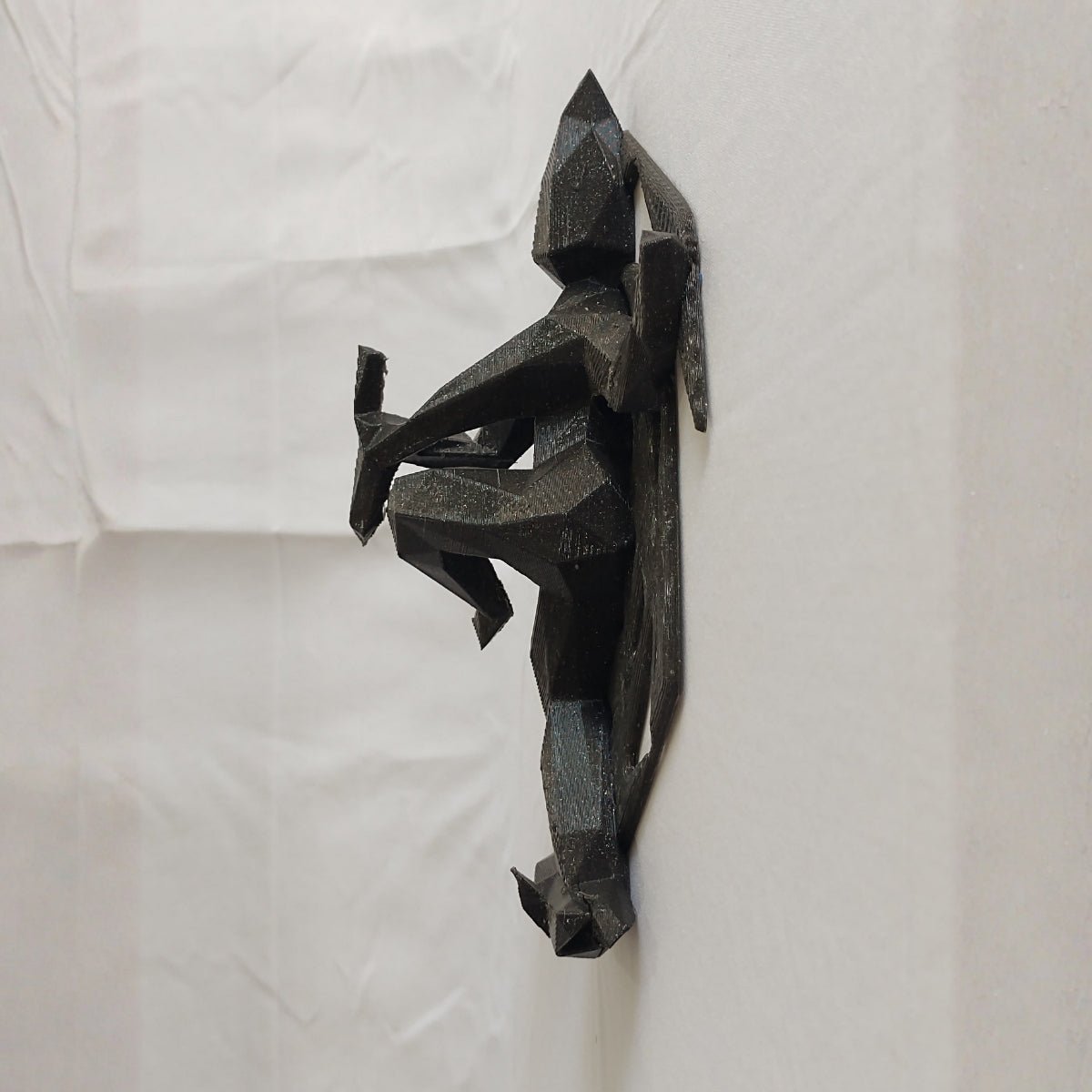 Rudra’s Convey Plant - Based Twinkling Black Wall Decor – Home Decor on Brown Living™. SKU: RUCOEDPLTKA090. Img 2.