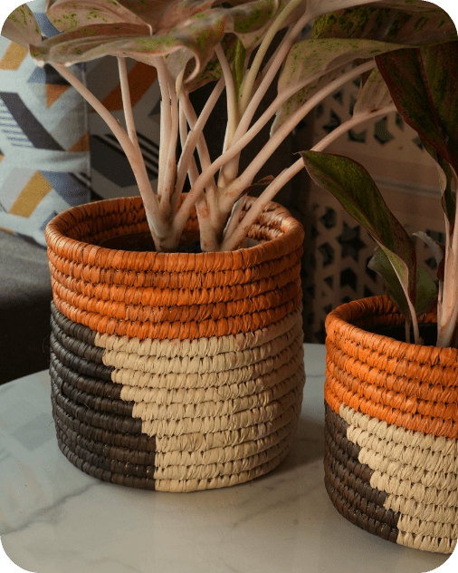Sabai Grass Planters | Set of 2 – Baskets & Boxes on Brown Living™. SKU: C0_sab_00011. Img 3.