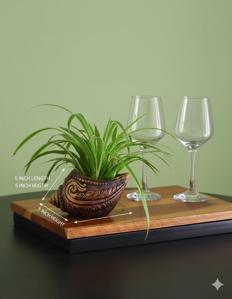 Sankh Planter 5 Inch | Decorative Terracotta Indoor & Outdoor Pot – Home & Garden on Brown Living™. SKU: PL15-6. Img 18.