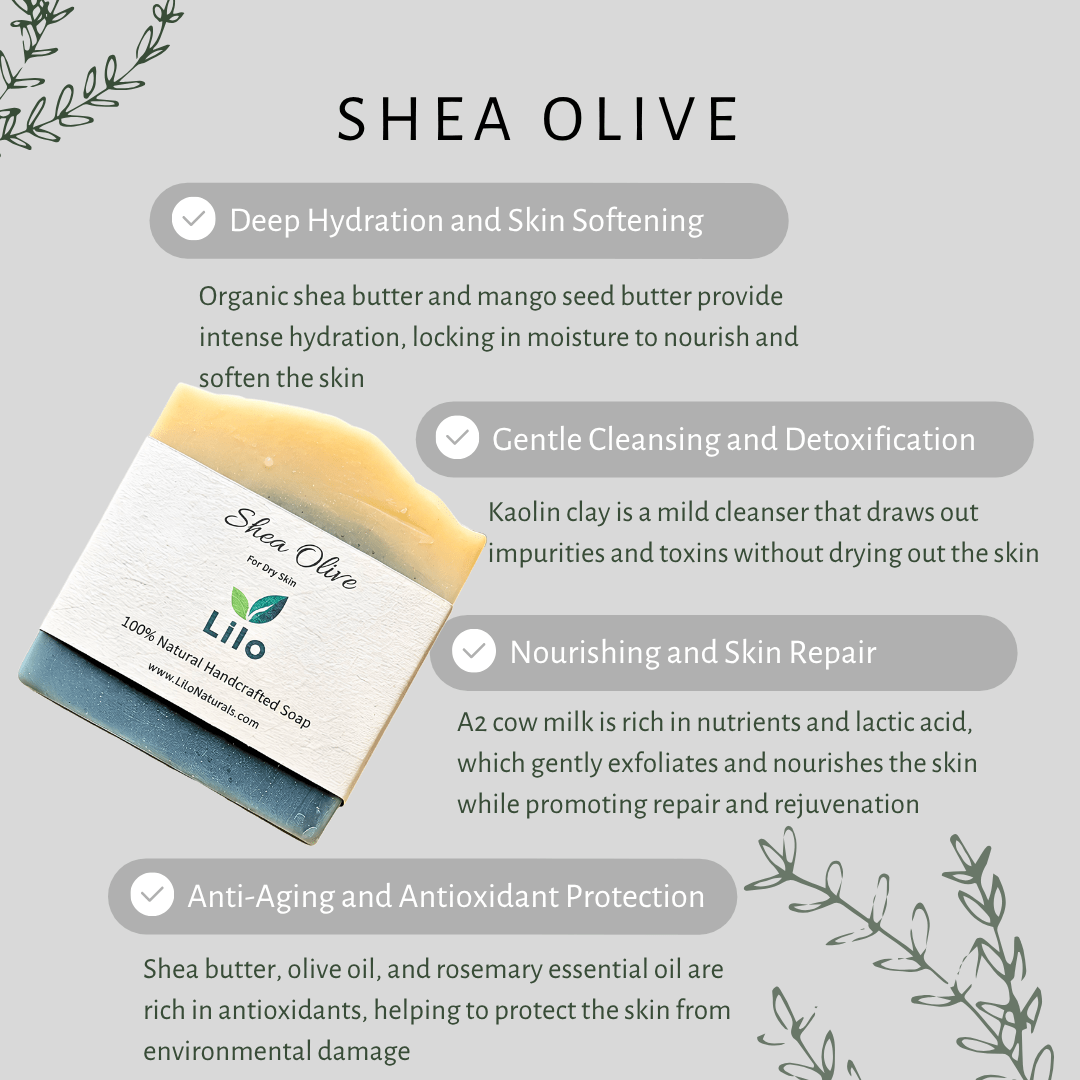 Shea Olive Bar Soap with Organic Shea Butter for Nourished Skin – Body Soap on Brown Living™. SKU: S10008. Img 3.