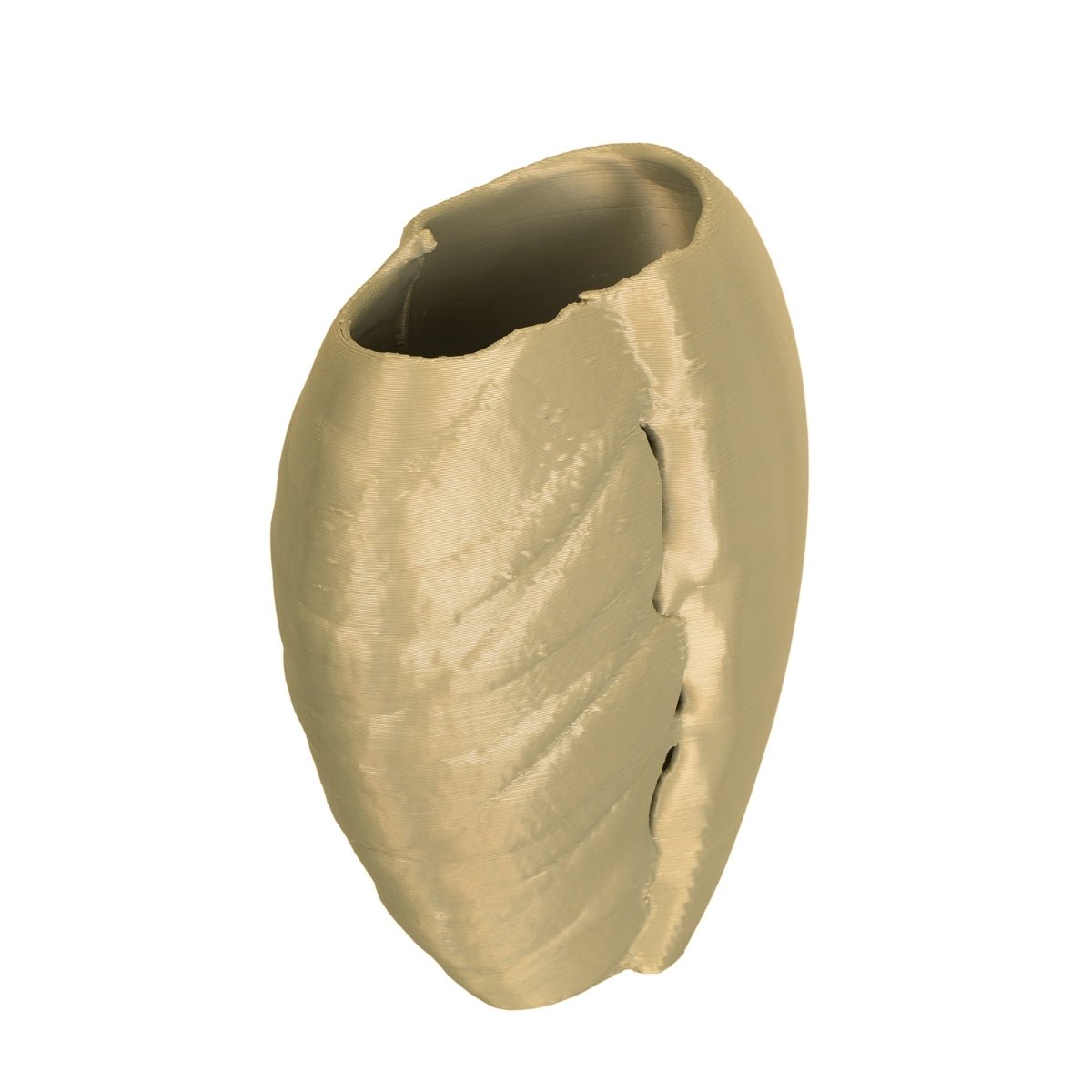 Shining Duality Plant - Based Exotic Titanium Vase – Home Decor on Brown Living™. SKU: SHDUEDPLETA028. Img 4.