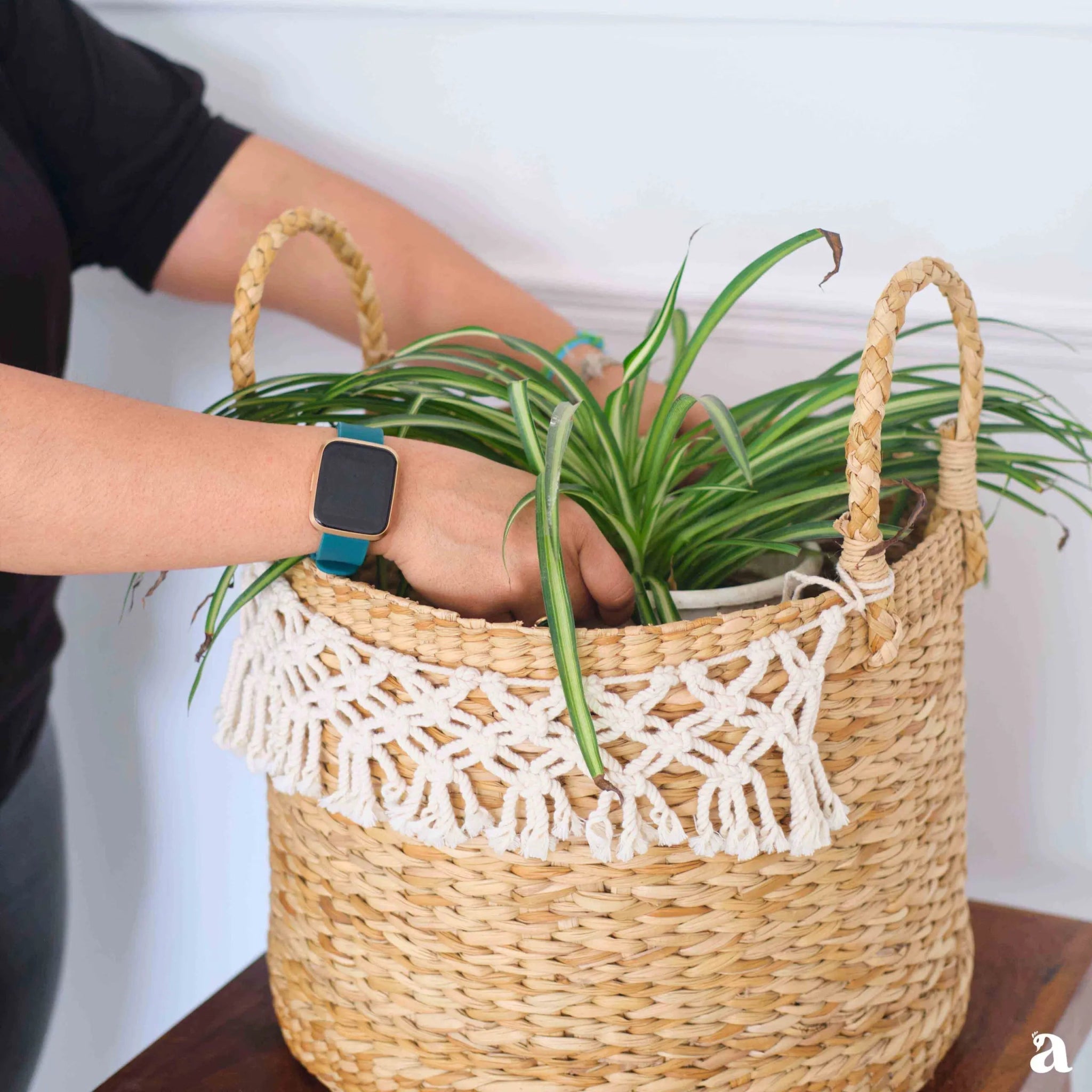 Shvetah Kauna Grass Planter | Handcrafted Eco - Friendly Plant Pot – Pots & Planters on Brown Living™. SKU: 909KP. Img 1.