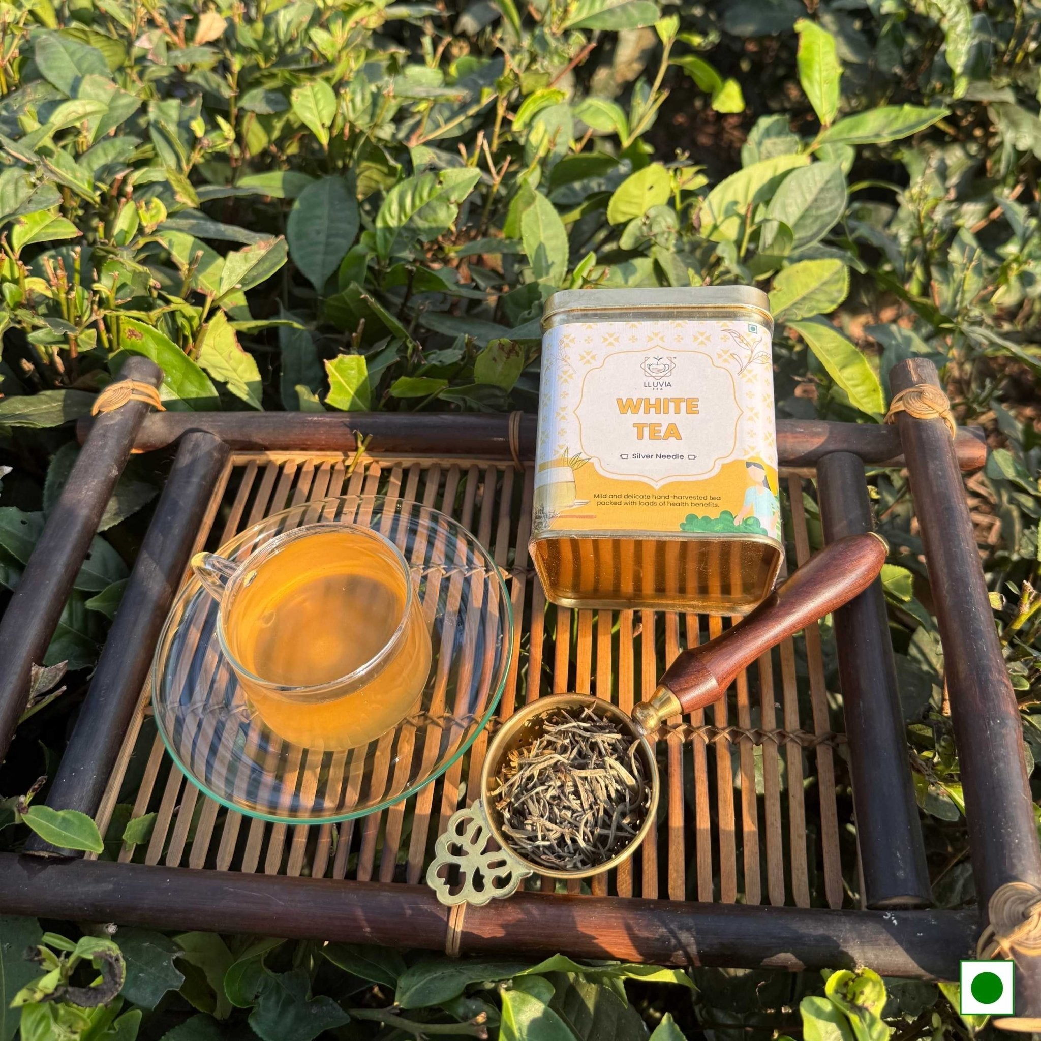 Silver Needle White Tea – Hand-Plucked, Rich in Antioxidants – 50g – Tea on Brown Living™. SKU: WTTin50New. Img 8.