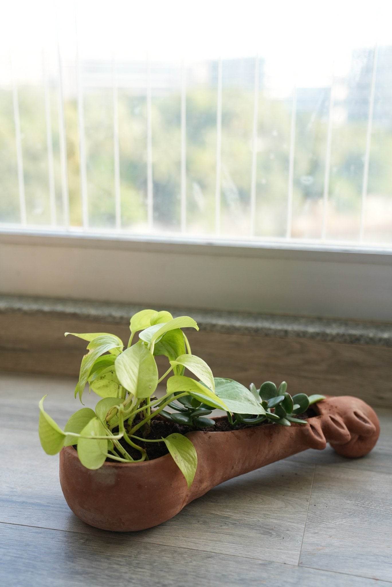 Sitar Vibe Earthen Planter – Pots & Planters on Brown Living™. SKU: A0_plt_0024. Img 4.