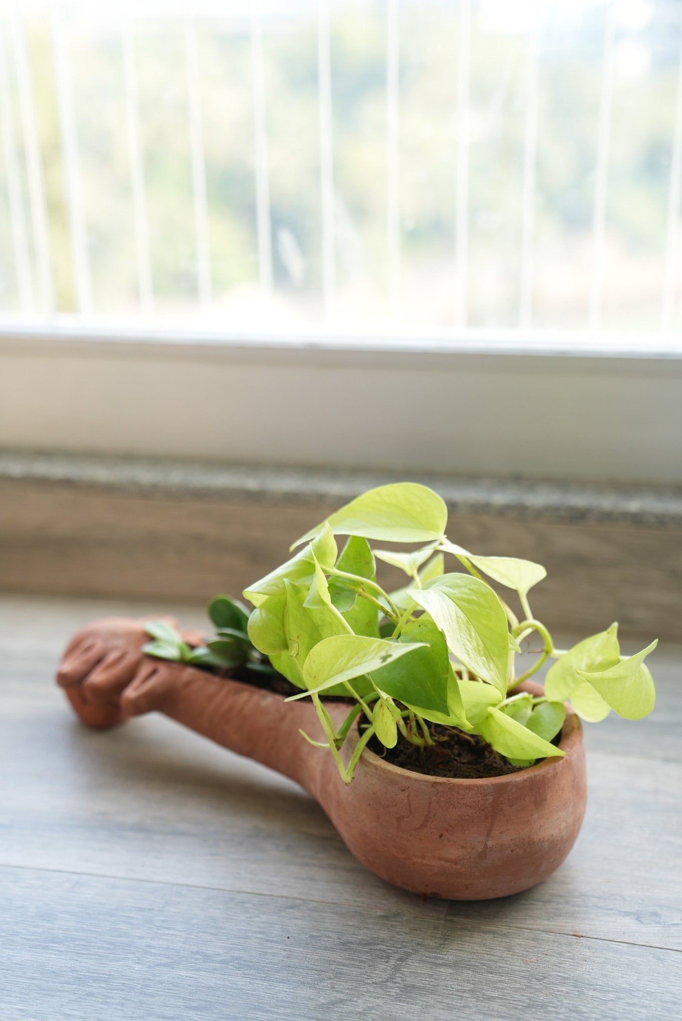 Sitar Vibe Earthen Planter ā Pots & Planters on Brown Livingā¢. SKU: A0_plt_0024. Img 6.