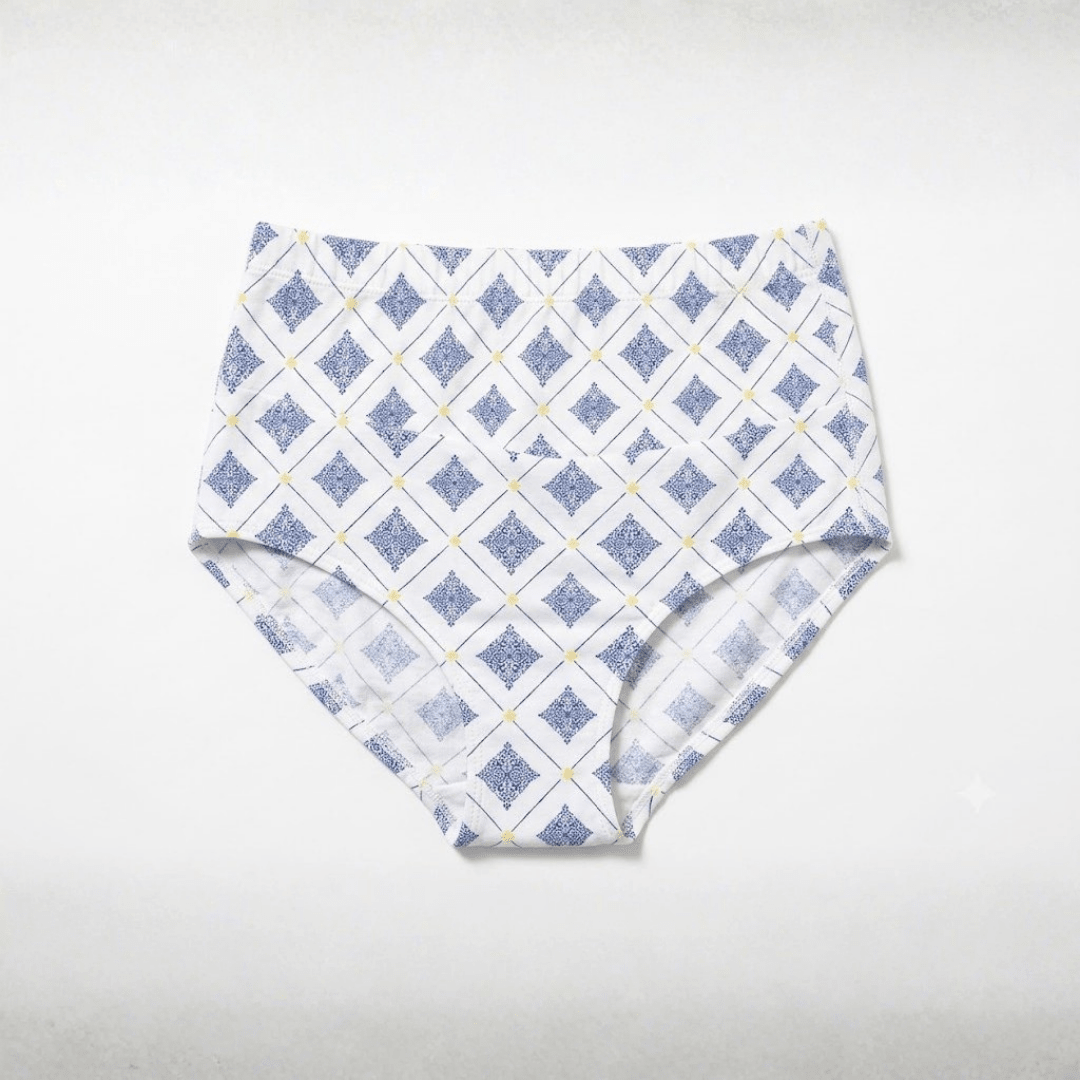 Sky Indigo & Porcelain Organic Cotton Classic Briefs | Pack of 2 – Womens Underwear on Brown Living™. SKU: 001HWBBlue-WhiteXs. Img 3.