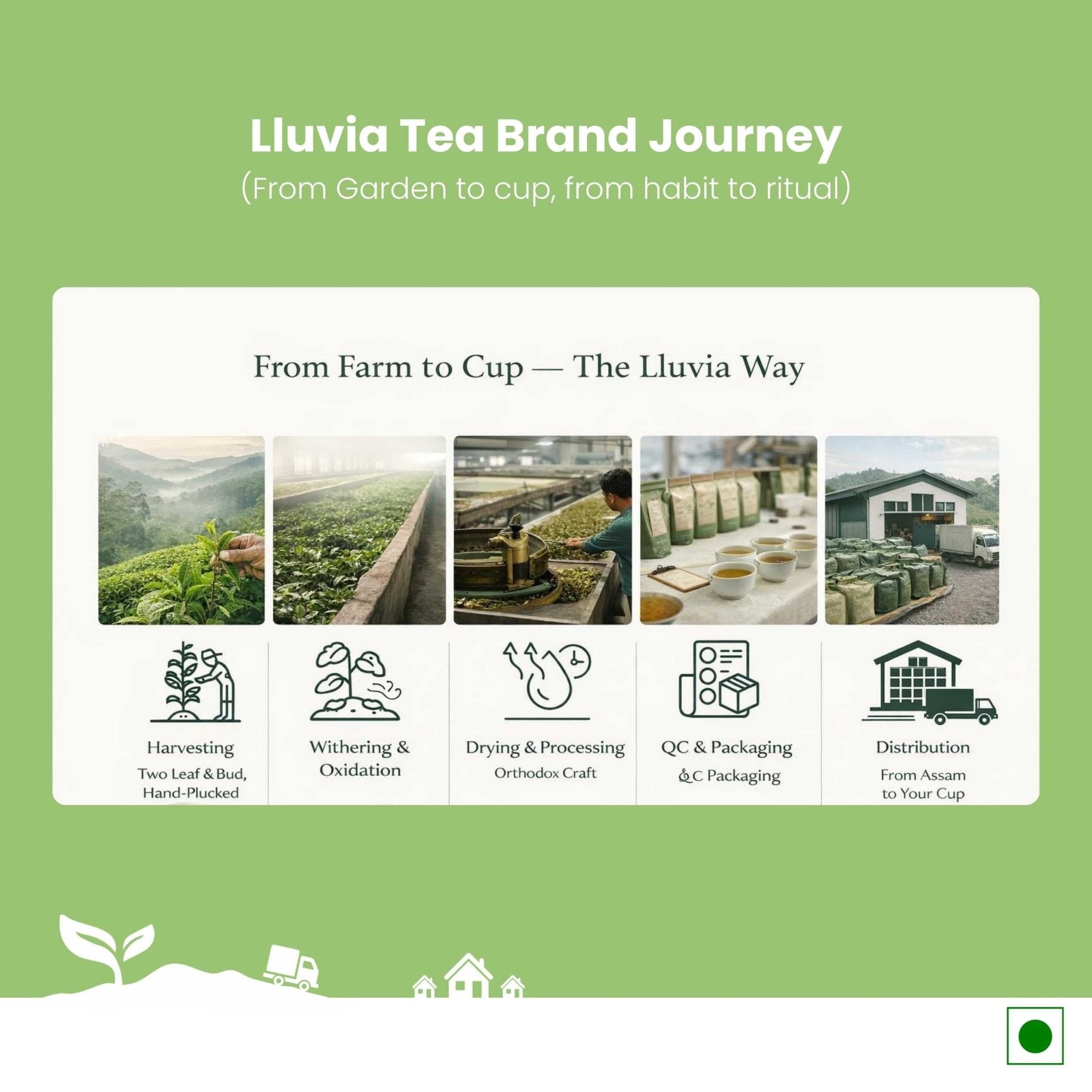 Spearmint Green Tea – Balance Hormones & Improve Digestion – 50g – Tea on Brown Living™. SKU: AMCZip50New. Img 7.