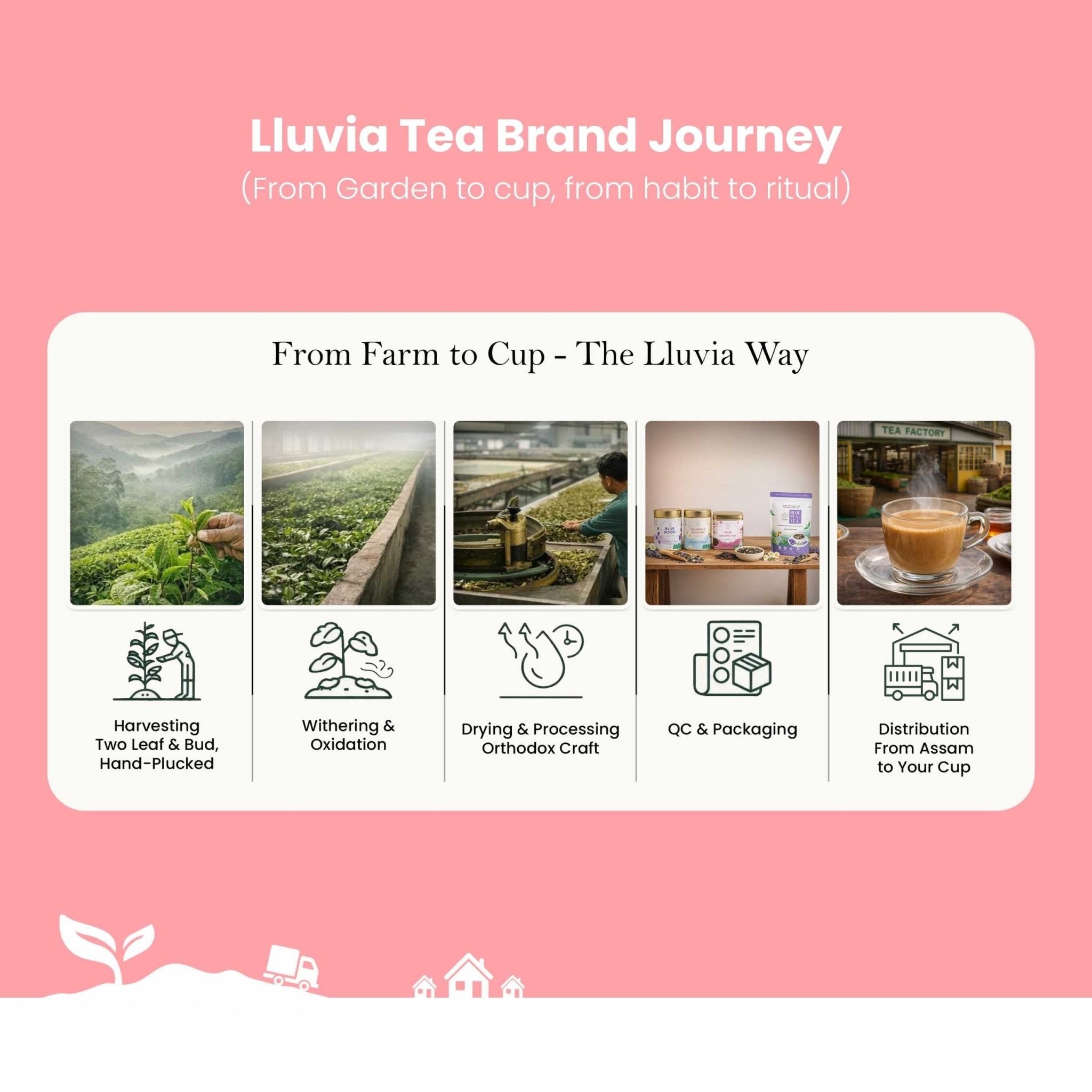 Spice Rose Tea – Reduce Anxiety & Antioxidant Boost – 50g – Tea on Brown Living™. SKU: MBTTin50New. Img 6.